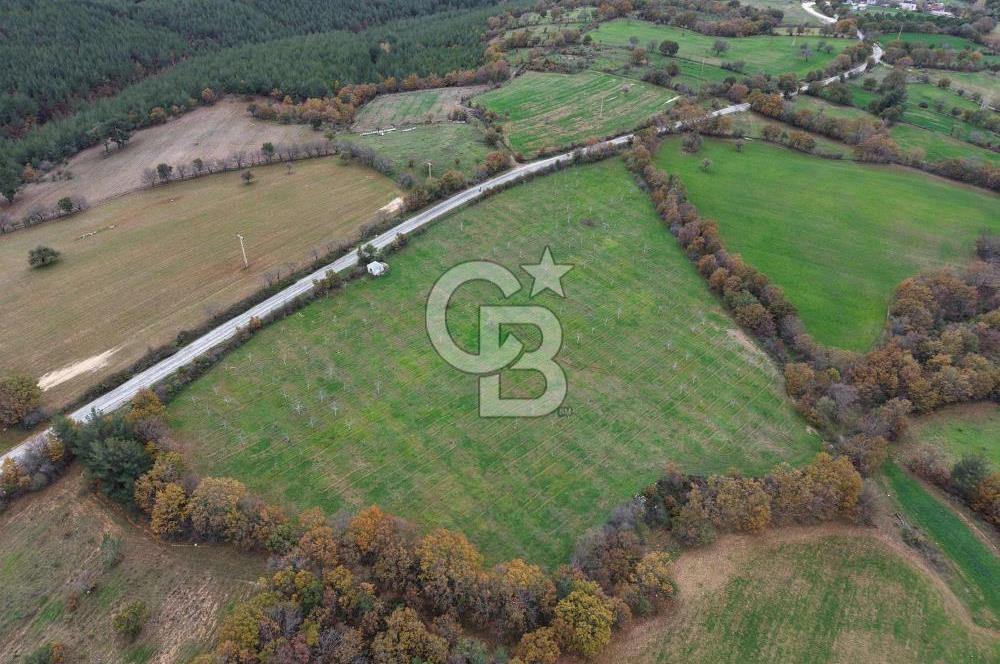 Çanakkale Salihler De 19373 M² Satılık Cevizlik !