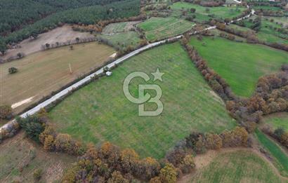 Çanakkale Salihler De 19373 M² Satılık Cevizlik !