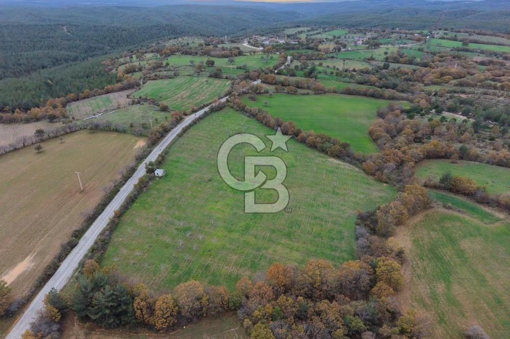 Çanakkale Salihler De 19373 M² Satılık Cevizlik !