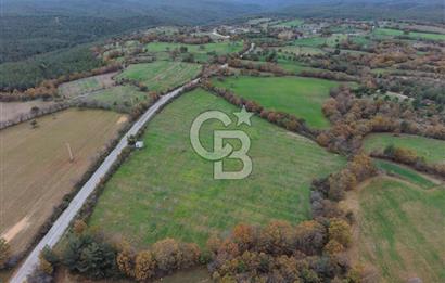 Çanakkale Salihler De 19373 M² Satılık Cevizlik !