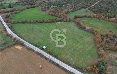 Çanakkale Salihler De 19373 M² Satılık Cevizlik !