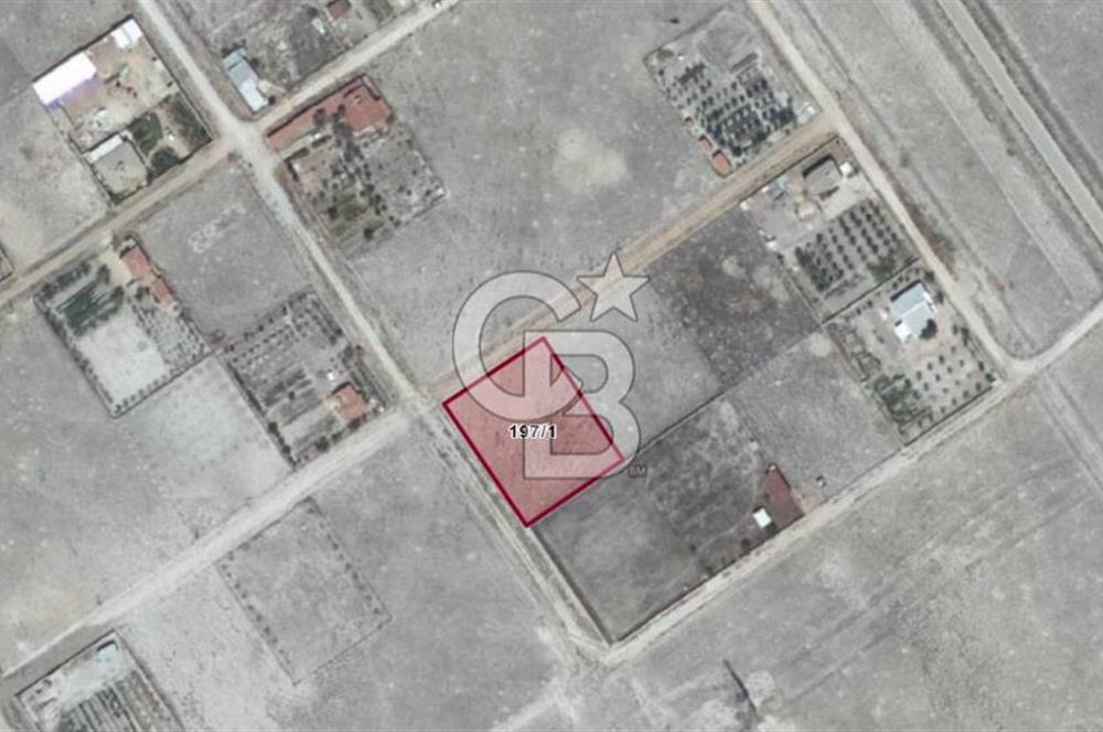 CB'DEN ŞATIR BÖLGESİNDE YÜKSEK PRİM POTANSİYELLİ İMARLI SATILIK ARSA