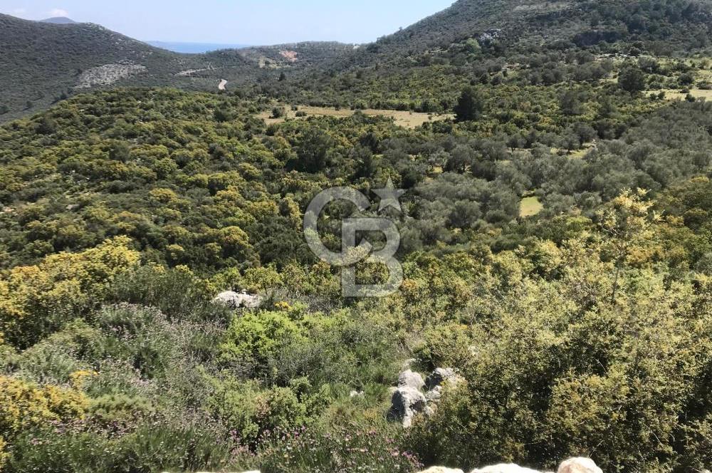 CB GİZ'DEN KAŞ YEŞİLKÖY'DE SATILIK 2B ARSA