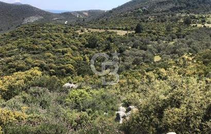 CB GİZ'DEN KAŞ YEŞİLKÖY'DE SATILIK 2B ARSA