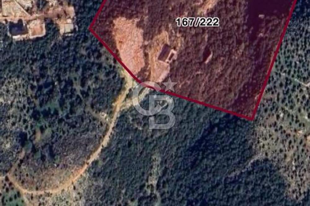 CB GİZ'DEN KAŞ YEŞİLKÖY'DE SATILIK 2B ARSA