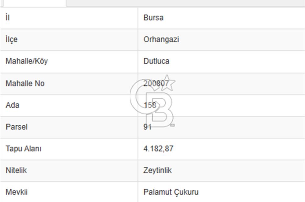 ORHANGAZİ DUTLUCA'DA 4.182 m2 SATILIK YATIRIMLIK FIRSAT ARAZİ