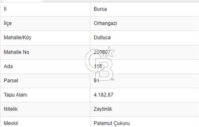 ORHANGAZİ DUTLUCA'DA 4.182 m2 SATILIK YATIRIMLIK FIRSAT ARAZİ