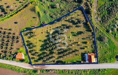 Foça Yenibağarası Mahallesinde Satılık Tarla ve Ev