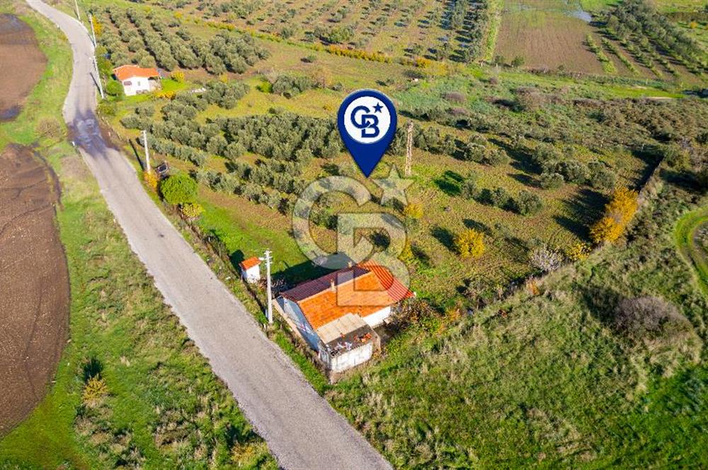 Foça Yenibağarası Mahallesinde Satılık Tarla ve Ev