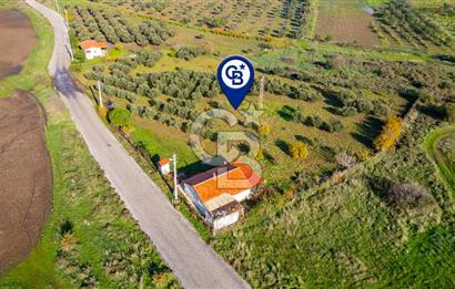 Foça Yenibağarası Mahallesinde Satılık Tarla ve Ev