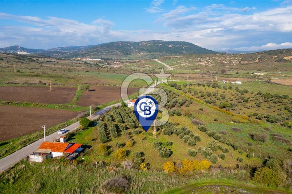 Foça Yenibağarası Mahallesinde Satılık Tarla ve Ev