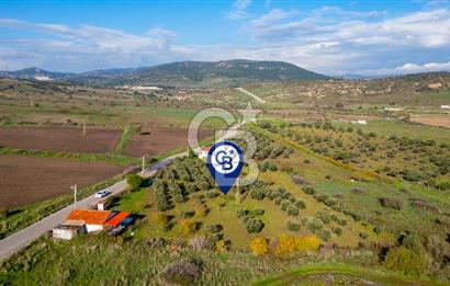 Foça Yenibağarası Mahallesinde Satılık Tarla ve Ev