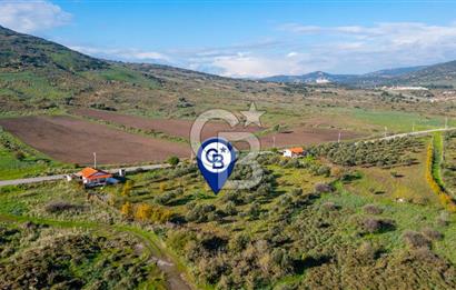 Foça Yenibağarası Mahallesinde Satılık Tarla ve Ev