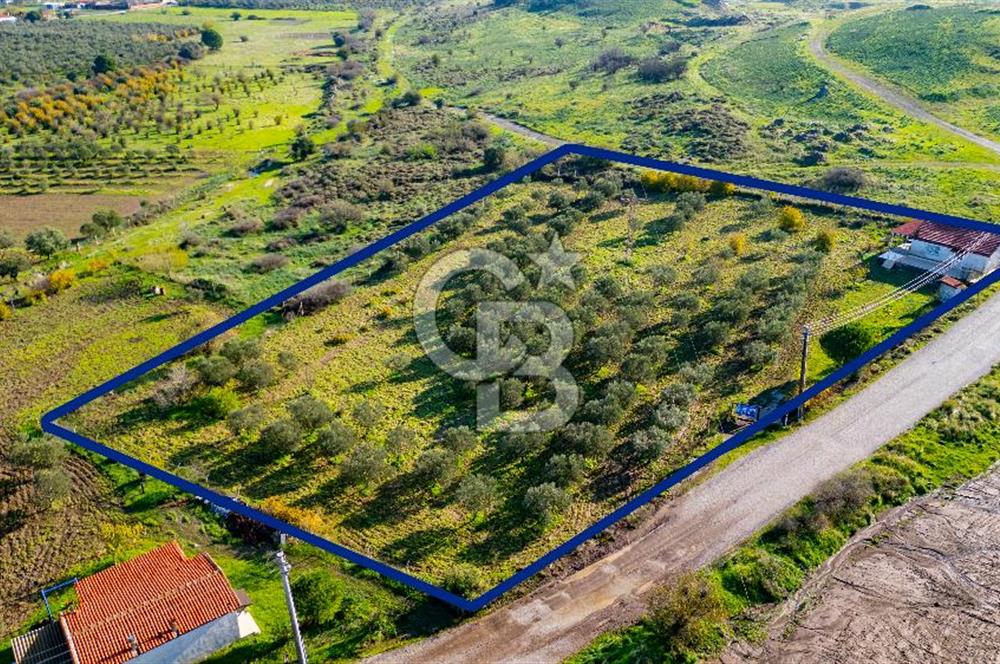 Foça Yenibağarası Mahallesinde Satılık Tarla ve Ev