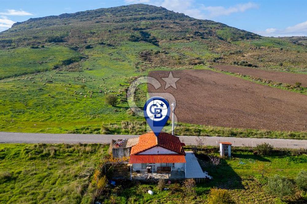 Foça Yenibağarası Mahallesinde Satılık Tarla ve Ev