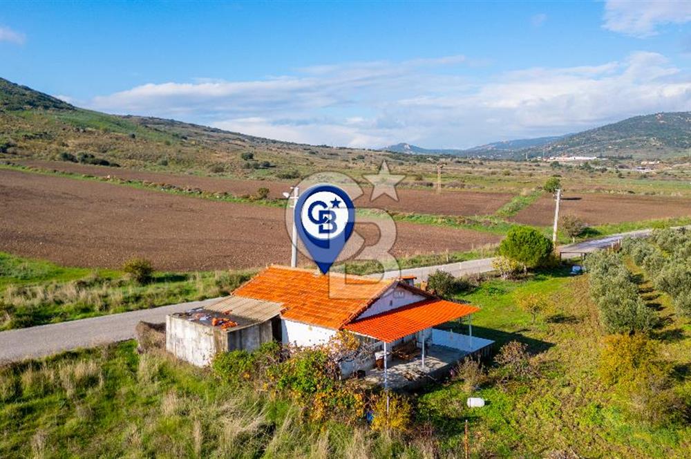 Foça Yenibağarası Mahallesinde Satılık Tarla ve Ev