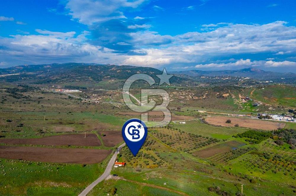 Foça Yenibağarası Mahallesinde Satılık Tarla ve Ev