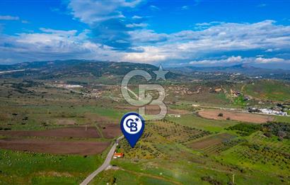 Foça Yenibağarası Mahallesinde Satılık Tarla ve Ev