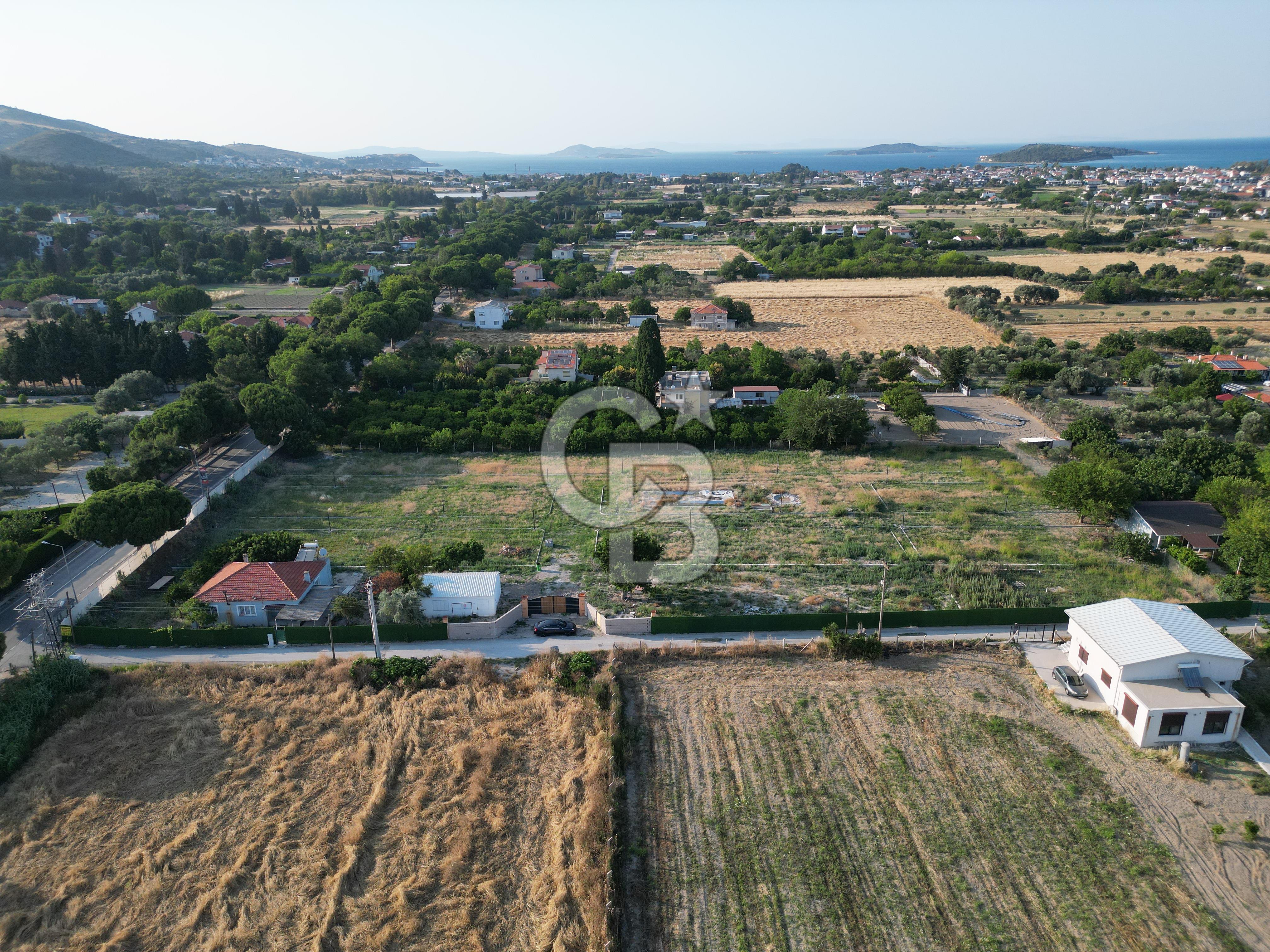 URLA İSKELEDE DENİZE YAKIN, AĞAÇLI YOL ÜZERİNDE 9.048 m² ARSA