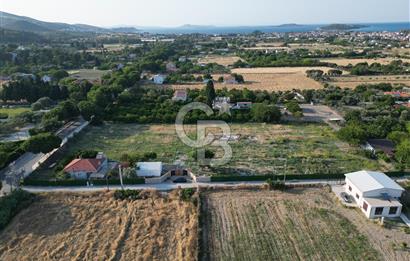 URLA İSKELEDE DENİZE YAKIN, AĞAÇLI YOL ÜZERİNDE 9.048 m² ARSA
