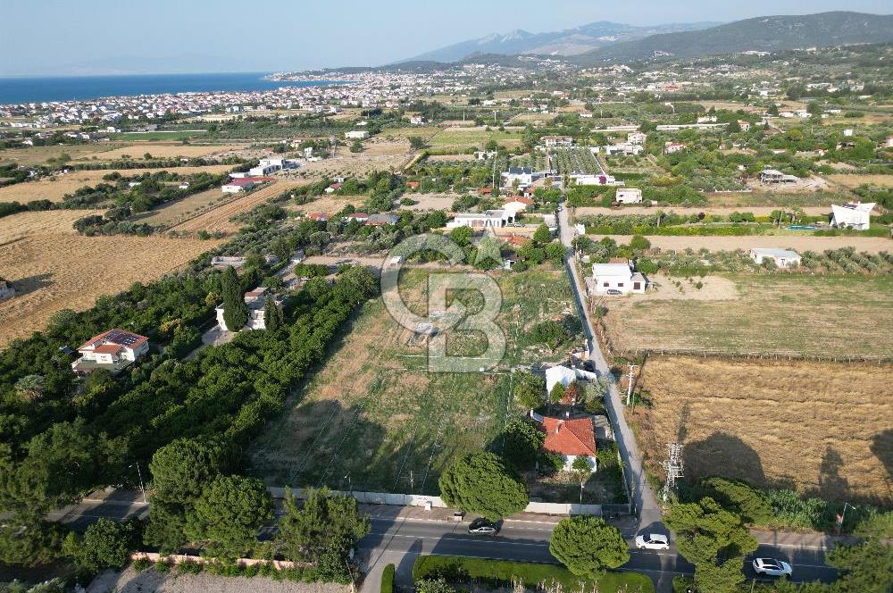 URLA İSKELEDE DENİZE YAKIN, AĞAÇLI YOL ÜZERİNDE 9.048 m² ARSA