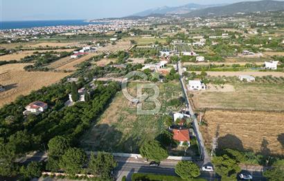 URLA İSKELEDE DENİZE YAKIN, AĞAÇLI YOL ÜZERİNDE 9.048 m² ARSA