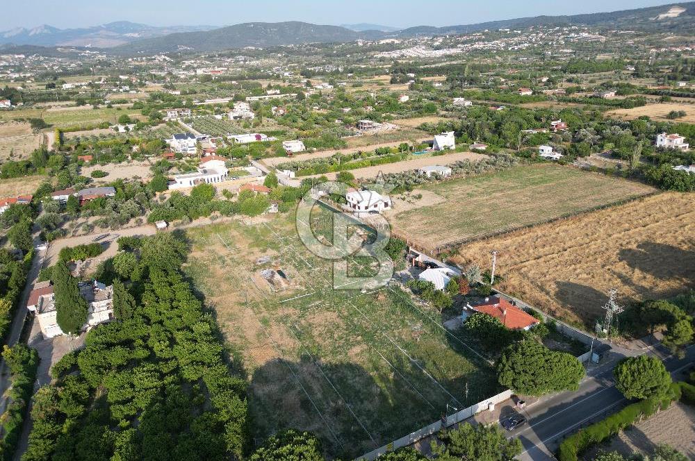 URLA İSKELEDE DENİZE YAKIN, AĞAÇLI YOL ÜZERİNDE 9.048 m² ARSA