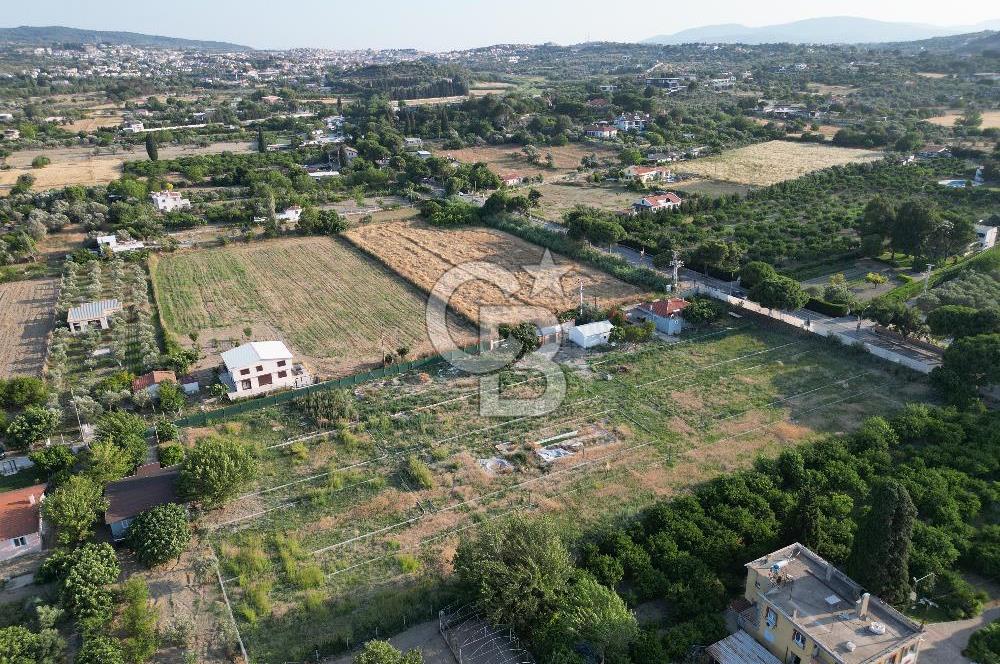 URLA İSKELEDE DENİZE YAKIN, AĞAÇLI YOL ÜZERİNDE 9.048 m² ARSA