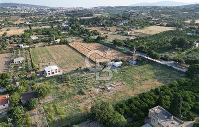 URLA İSKELEDE DENİZE YAKIN, AĞAÇLI YOL ÜZERİNDE 9.048 m² ARSA
