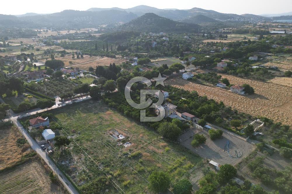 URLA İSKELEDE DENİZE YAKIN, AĞAÇLI YOL ÜZERİNDE 9.048 m² ARSA