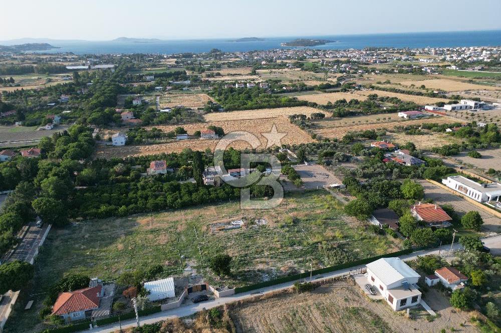 URLA İSKELEDE DENİZE YAKIN, AĞAÇLI YOL ÜZERİNDE 9.048 m² ARSA