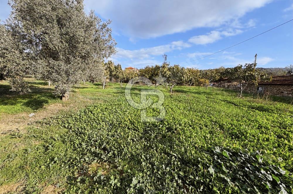 İzmir Tire Ayaklıkırında 1.742 m² Arsa