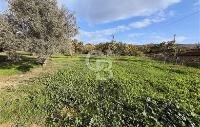 İzmir Tire Ayaklıkırında 1.742 m² Arsa