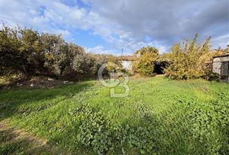 İzmir Tire Ayaklıkırında 1.742 m² Arsa - 10 - 320468