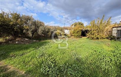 İzmir Tire Ayaklıkırında 1.742 m² Arsa