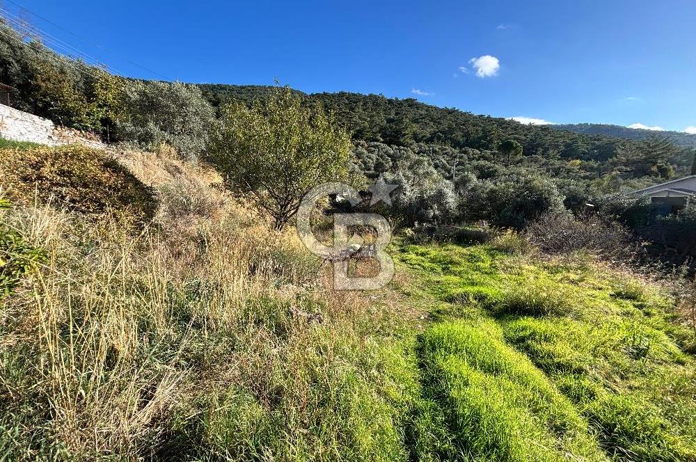 Torbalı Karaot Satılık İmarlı Arsa 