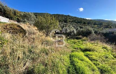 Torbalı Karaot Satılık İmarlı Arsa 