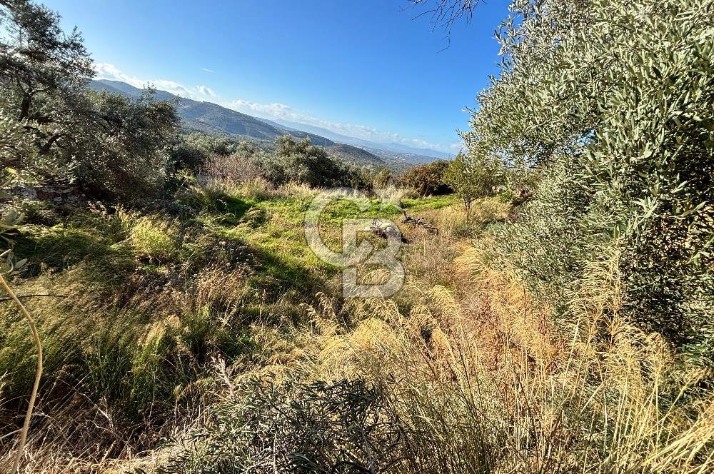 Torbalı Karaot Satılık İmarlı Arsa 