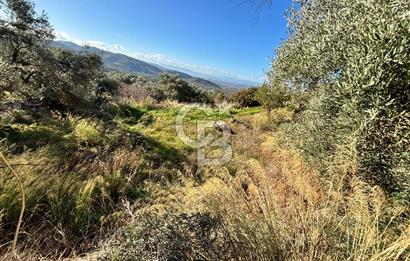 Torbalı Karaot Satılık İmarlı Arsa 