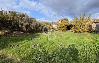 İzmir Tire Ayaklıkırında 1.742 m² Arsa