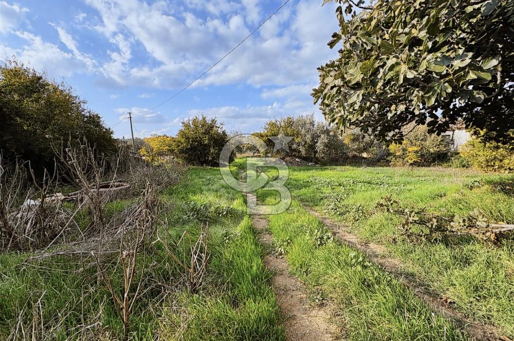 İzmir Tire Ayaklıkırında 1.742 m² Arsa