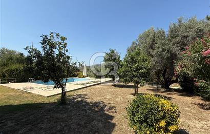 Kuşadası Olivia Sitesinde Doğa İçinde Müstakil Havuzlu Villa