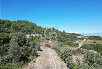 GÜZELBAHÇE ÇAMLIDA GELİŞMEKTE OLAN BÖLGEDE 7828 M2 TARLA - 2 - 320496