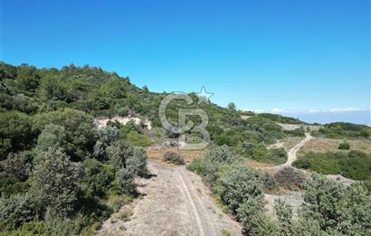 GÜZELBAHÇE ÇAMLIDA GELİŞMEKTE OLAN BÖLGEDE 7828 M2 TARLA