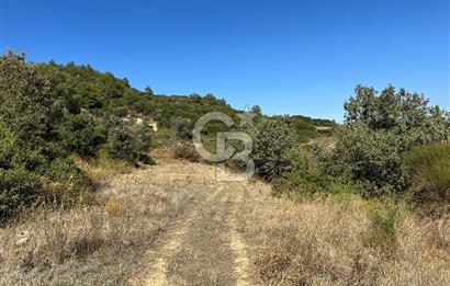 GÜZELBAHÇE ÇAMLIDA GELİŞMEKTE OLAN BÖLGEDE 7828 M2 TARLA