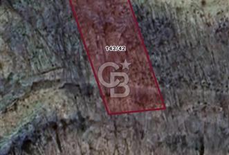 MUSELAND'dan Trabzon Akolukta sanayi imarına açık Arsa - 3 - 319104