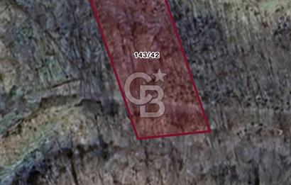 MUSELAND'dan Trabzon Akolukta sanayi imarına açık Arsa