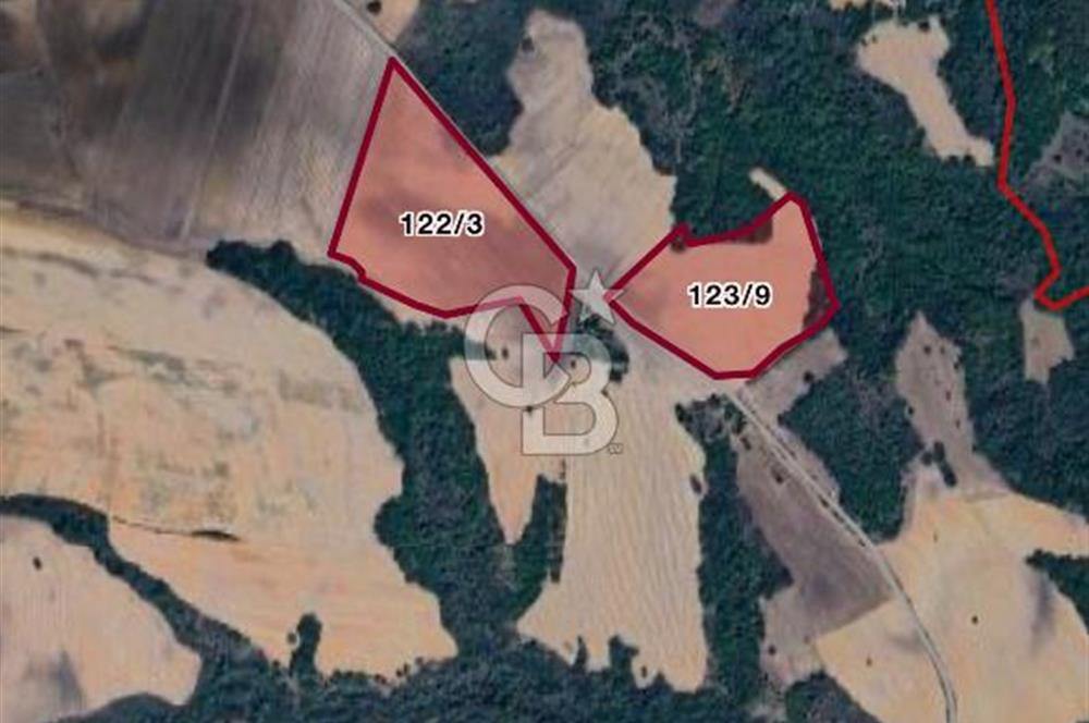 Edirne Uzunköprü Saçlımüsellim’de 65.327m2 Satılık Tarla