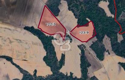 Edirne Uzunköprü Saçlımüsellim’de 65.327m2 Satılık Tarla