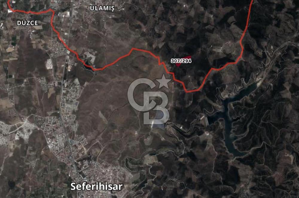 İMAR SINIRINDA SATILIK ZEYTİNLİK